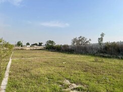 Plot For Sale in Badripur