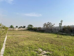  Plot For Sale in Badripur