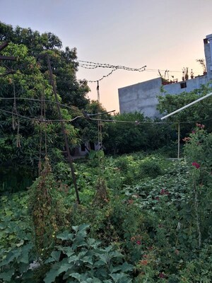 6+ BHK Villa – Garden View at Jankipuram - for Sale