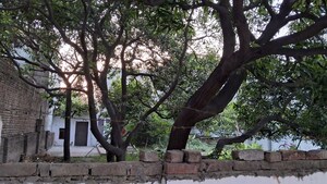 6+ BHK Villa – Exterior View View at Jankipuram - for Sale
