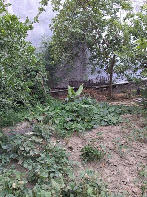 Plot Area in 6+ BHK Villa at Jankipuram – for Sale