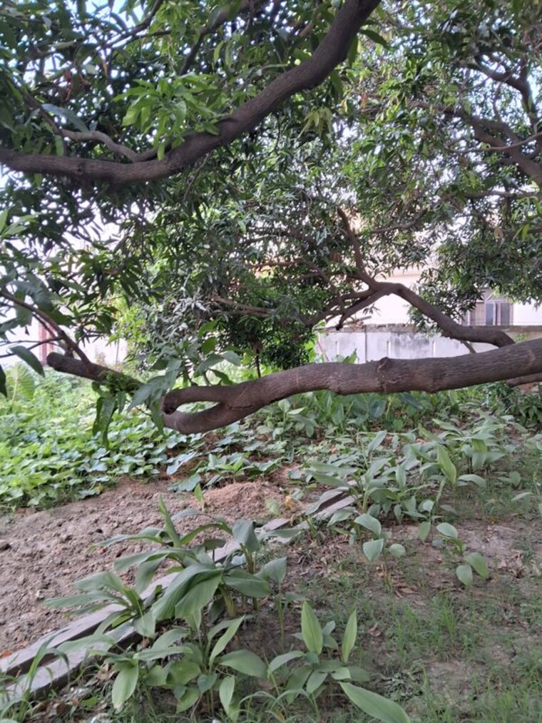 Garden, jankipuram 6+ Bedroom 8000 Sq.Ft. Villa In Jankipuram Lucknow 10512775