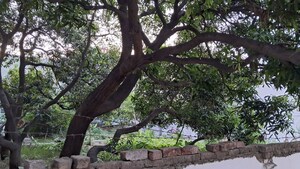 6+ BHK Villa – Garden View at Jankipuram - for Sale