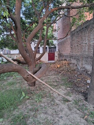 6+ BHK Villa – Exterior View View at Jankipuram - for Sale
