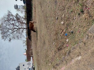  Plot – Exterior View View at Harrawala - for Sale
