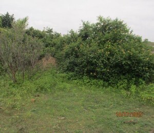  Plot For Sale in Shilatne