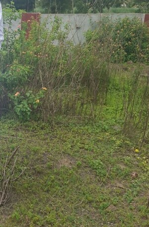  Plot For Sale in Shilatne