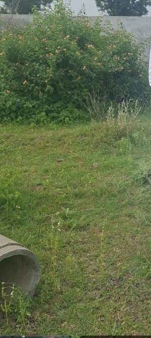  Plot For Sale in Shilatne