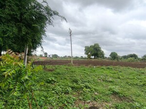  Land For Sale in Kandi
