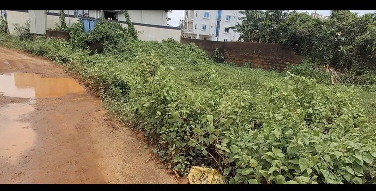 Exterior View, raghunathpur  1620 Sq.Ft. Plot In Raghunathpur Bhubaneswar 10513798