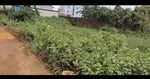 1620 Sq.Ft. Plot in Raghunathpur