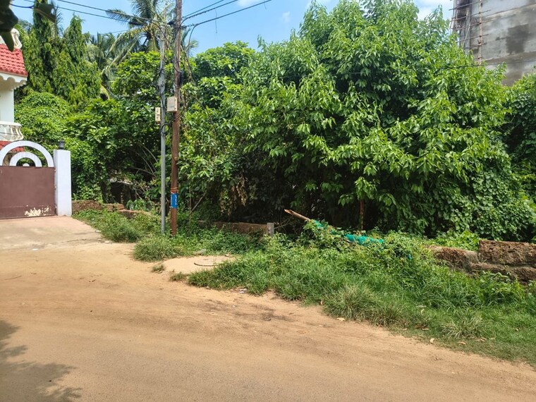 Garden, raghunathpur  1620 Sq.Ft. Plot In Raghunathpur Bhubaneswar 10513798