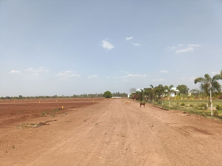 undefined, navya-imperial-gardens  360 Sq.Yd. Plot In Sarjaraopet Zahirabad 10513802