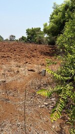 1 Acre Plot in Pargi