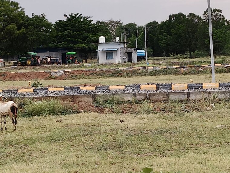 undefined, kothur  180 Sq.Yd. Plot In Kothur Hyderabad 10513838