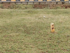 Plot Area in  Plot at Kothur – for Sale