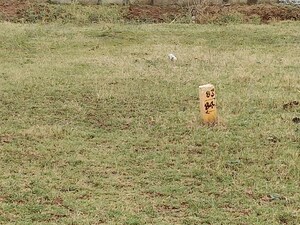 Plot Area in  Plot at Kothur – for Sale