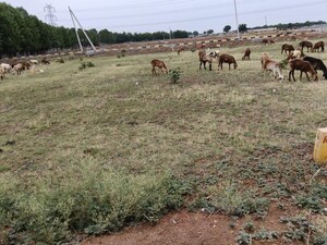 Plot Area in  Plot at Kothur – for Sale