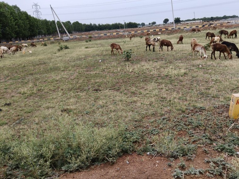 undefined, kothur  180 Sq.Yd. Plot In Kothur Hyderabad 10513838