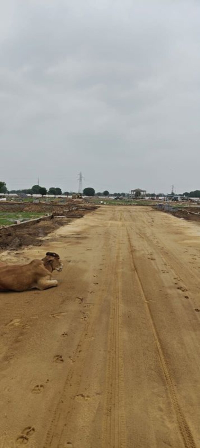 Nearby, kotra  140 Sq.Yd. Plot In Kotra Ajmer 10513854