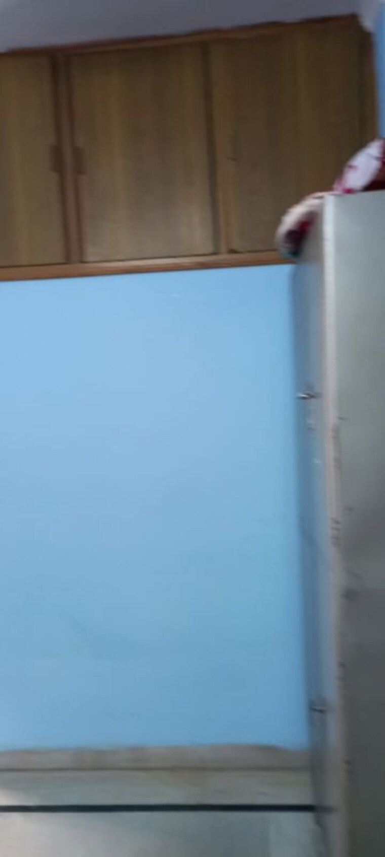 Room, sector 40 1 RK 580 Sq.Ft. Independent House In Sector 40 Chandigarh 10513871