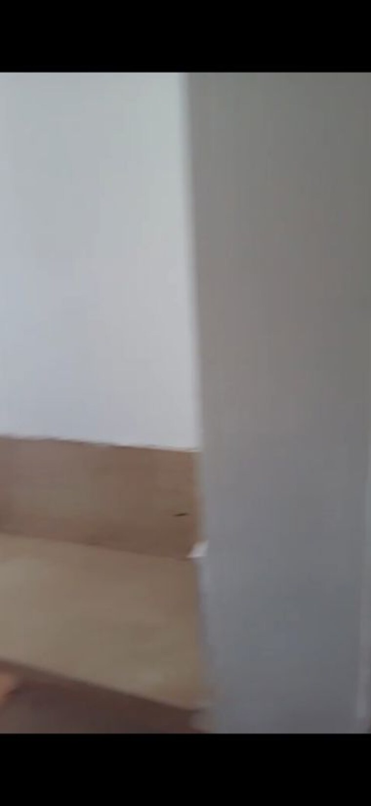 Room, habitech-hydepark Studio 360 Sq.Ft. Apartment In Knowledge Park 3 Greater Noida Greater Noida 10513889