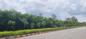 Plot Area in  Plot at Shadnagar – for Sale