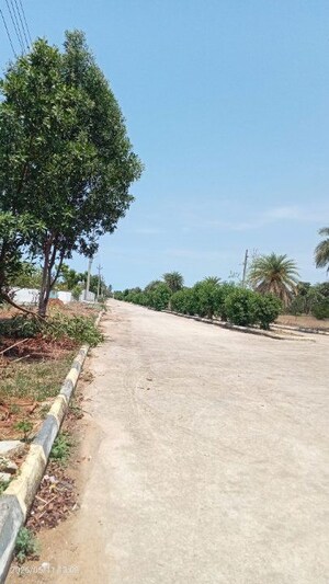 Plot Area in  Plot at Bhogapuram – for Sale