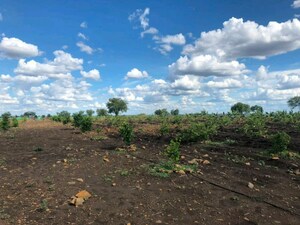  Land For Sale in Sangareddy