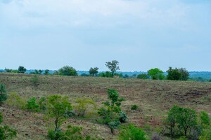Plot Area in  Land at Sangareddy – for Sale
