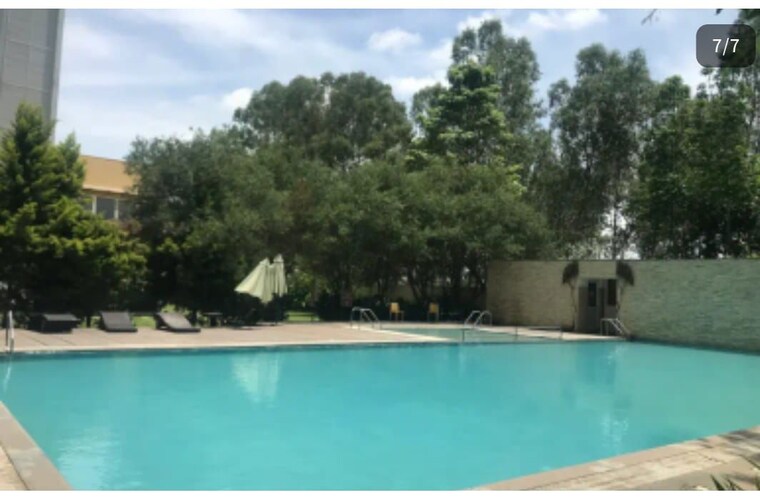 Swimming Pool, brigade-exotica 3 Bedroom 3140 Sq.Ft. Apartment In Old Madras Road Bangalore 10511348