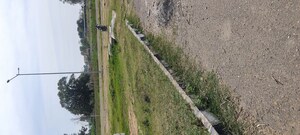  Plot For Sale in GMADA Eco City, North Mullanpur
