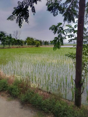  Land For Sale in Kharar Road