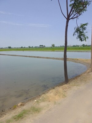   Land at Kharar Road – for Sale