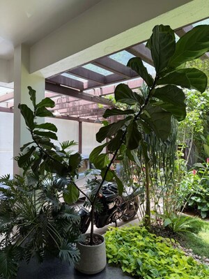 4 BHK Independent House – Exterior View View at Sadashiva Nagar - for Sale