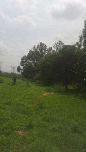  Land – Garden View at Padmanabha Nagar - for Sale