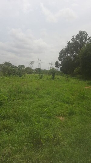  Land – Garden View at Padmanabha Nagar - for Sale