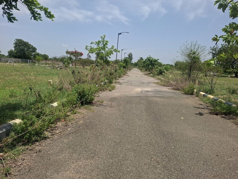 undefined, peddapur  202 Sq.Yd. Plot In Peddapur Sangareddy 10514348