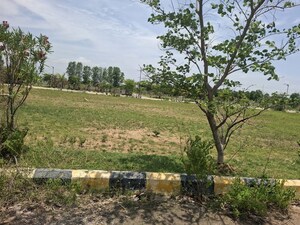 Plot Area in  Plot at Peddapur – for Sale