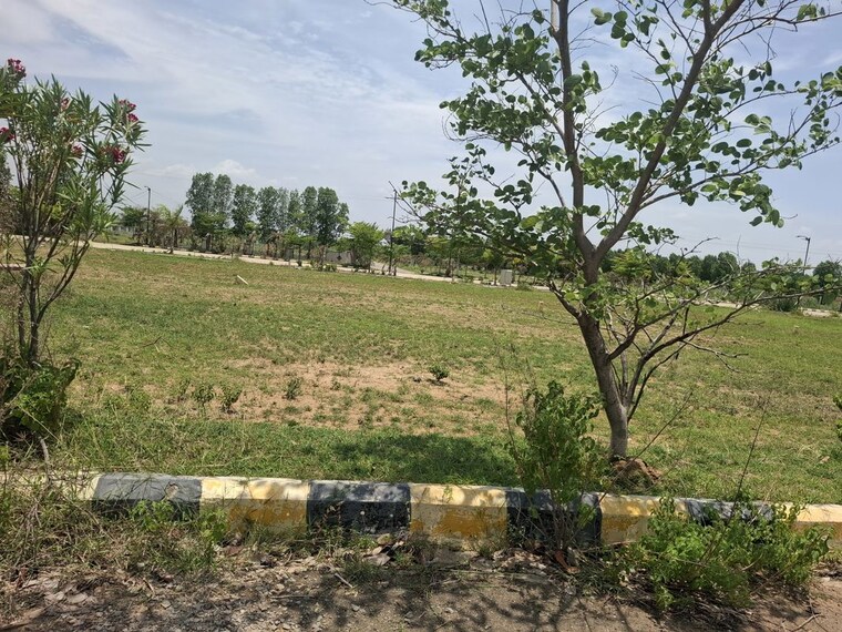 undefined, peddapur  202 Sq.Yd. Plot In Peddapur Sangareddy 10514348