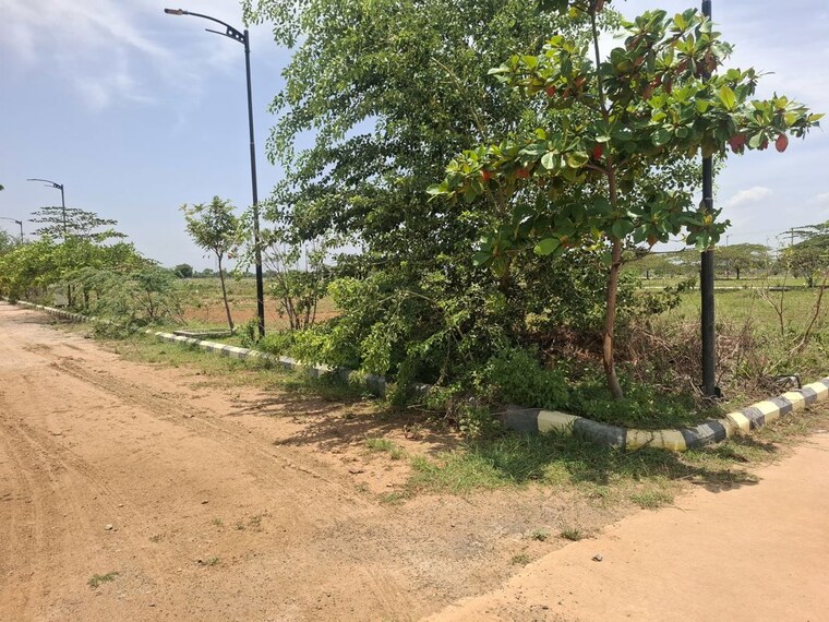undefined, peddapur  202 Sq.Yd. Plot In Peddapur Sangareddy 10514348