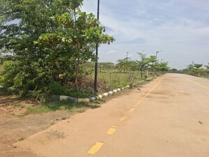 Plot Area in  Plot at Peddapur – for Sale