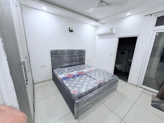 3 BHK + Store Room Apartment For Rent in Lifestyle Homes in Patiala Road, Zirakpur
