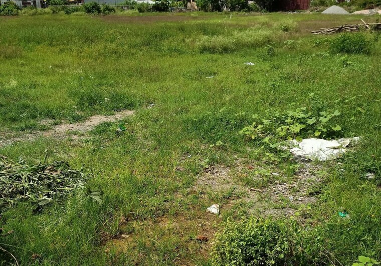 undefined, doiwala  50 Sq.Yd. Plot In Doiwala Dehradun 10475357
