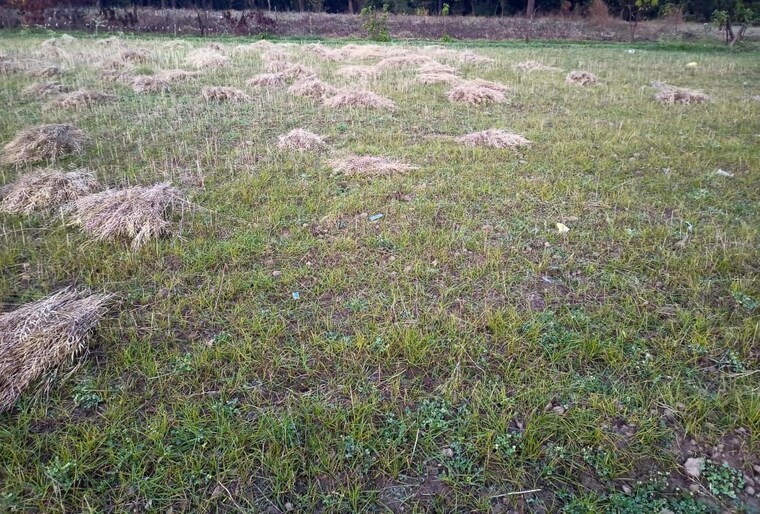 undefined, doiwala  50 Sq.Yd. Plot In Doiwala Dehradun 10475357