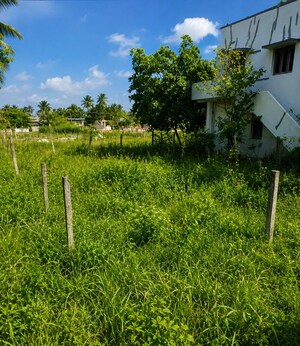  Plot For Sale in Thiruninravur