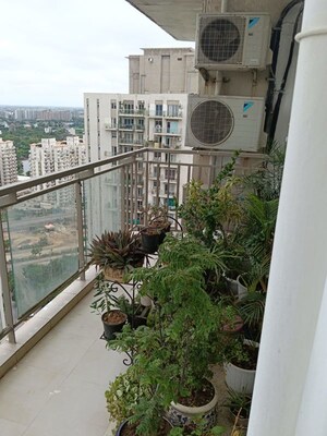 Balcony in 3.5 BHK Apartment at Conscient Heritage Max, Sector 102 – for Rent
