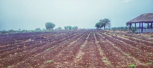 Plot For Sale in Narayankhed