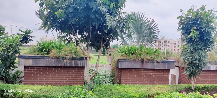 Garden, dharampura  1418 Sq.Ft. Plot In Dharampura Raipur 10511946