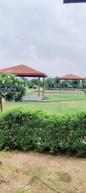  Plot – Exterior View View at Dharampura - for Sale